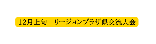 12月上旬 リージョンプラザ県交流大会